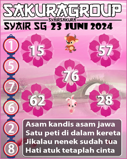 SYAIR SGP VIP